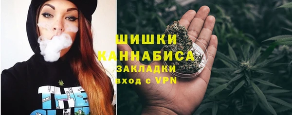 мдпв Волоколамск