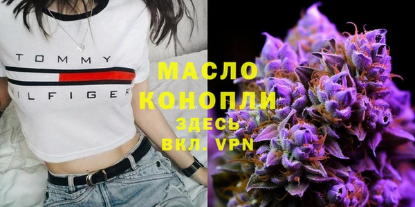 мдпв Волоколамск